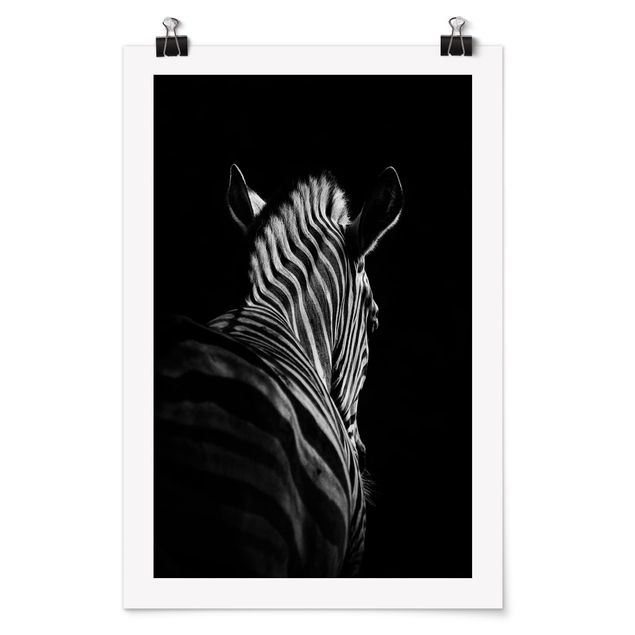 Poster Tiere Dunkle Zebra Silhouette