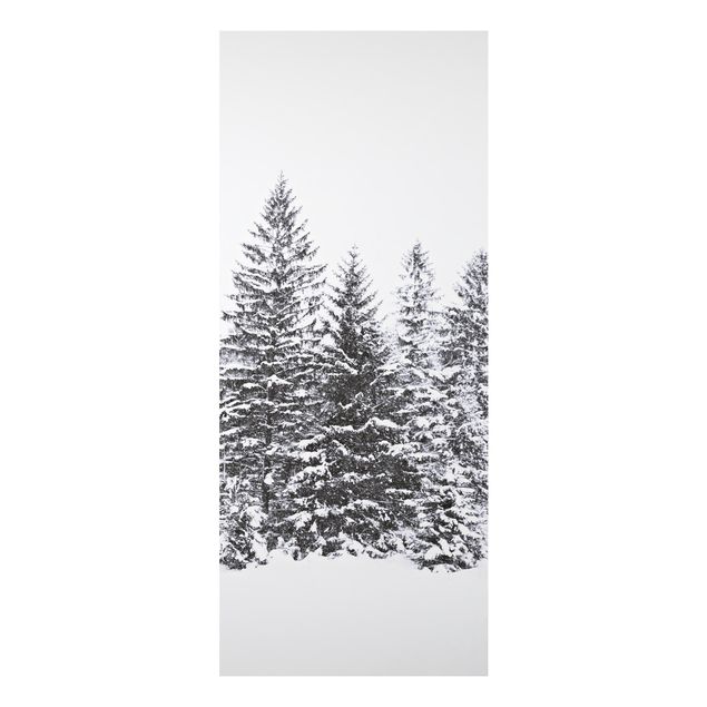 Wandbilder Bäume Dunkle Winterlandschaft