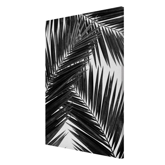 Magnettafeln Blumen Blick durch Palmenblätter schwarz weiß