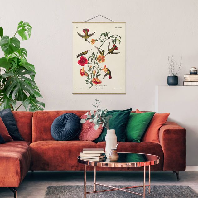 Wandbilder Floral Vintage Lehrtafel Mango Kolibris