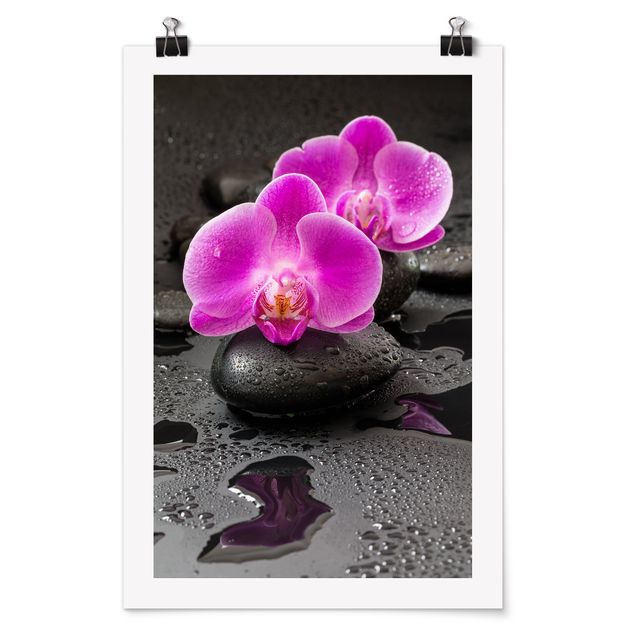 Poster Blumen Pinke Orchideenblüten auf Steinen mit Tropfen