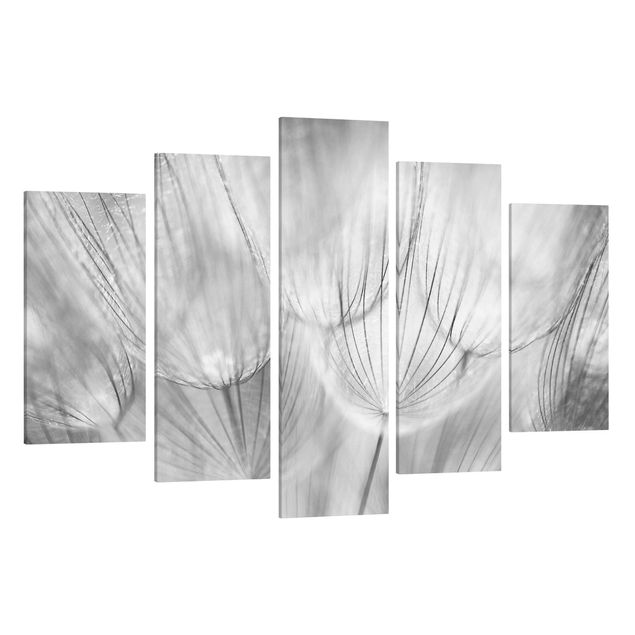 Leinwandbilder Berge Pusteblumen Makroaufnahme in schwarz weiß