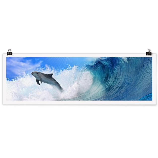 Wandbilder Strände Playing Dolphins