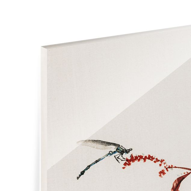 Spritzschutz Glas - Asiatische Vintage Zeichnung Roter Zweig mit Libelle - Panorama - 5:2