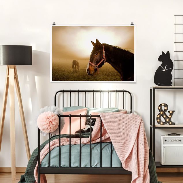 Tiere Poster Early Horse