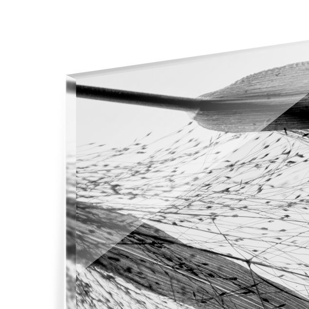 Spritzschutz Glas - Zartes Schilf mit feinen Knospen Schwarz Weiß - Panorama 5:2