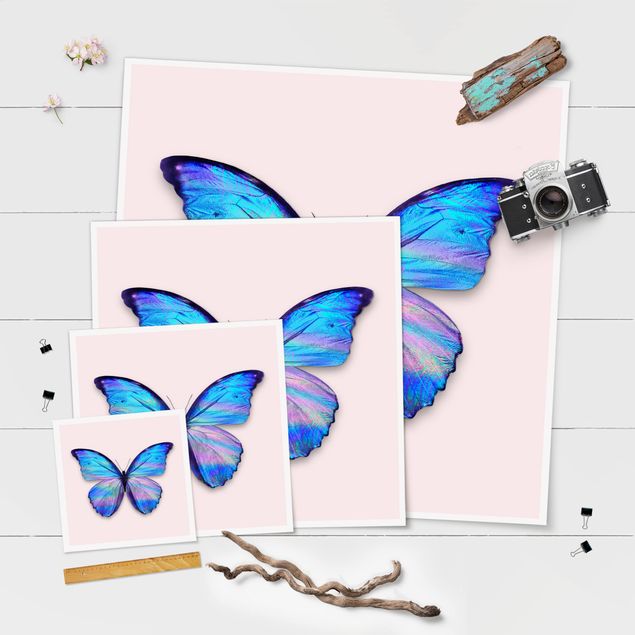 Jonas Loose Bilder Holografischer Schmetterling