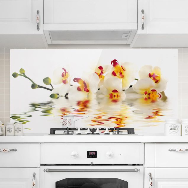 Küche Dekoration Vivid Orchid Waters