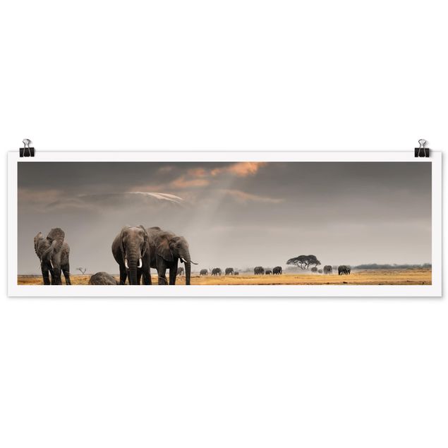 Tiere Poster Elefanten der Savanne