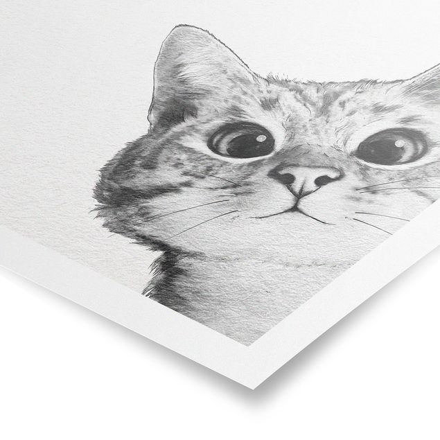 Poster Kunstdruck Illustration Katze Zeichnung Schwarz Weiß