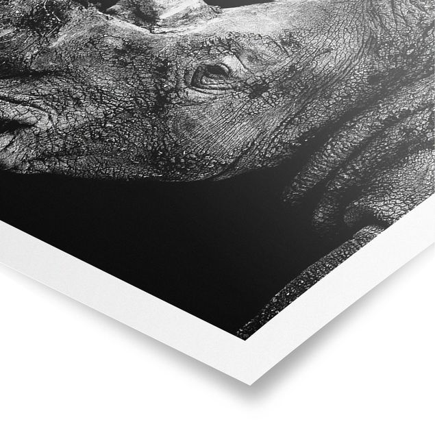 Wandbilder Schwarz-Weiß Nashorn Duell