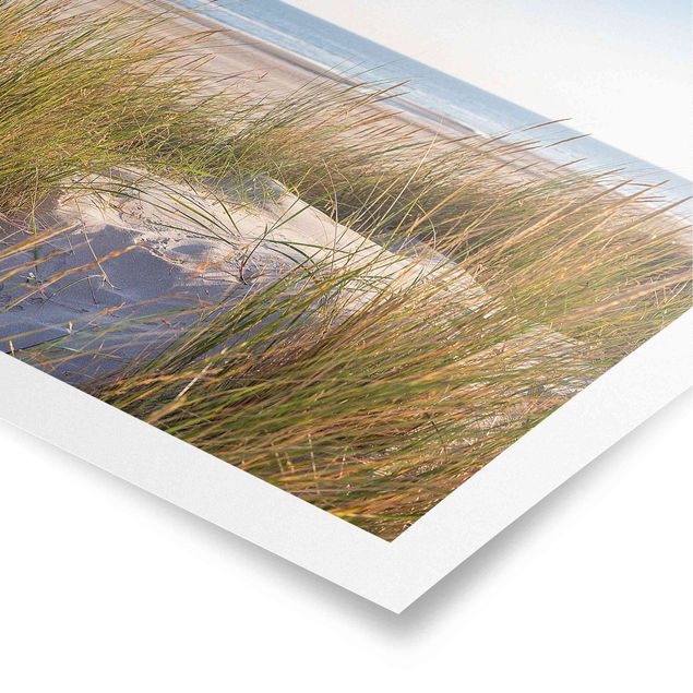 Poster Kunstdruck Stranddüne am Meer