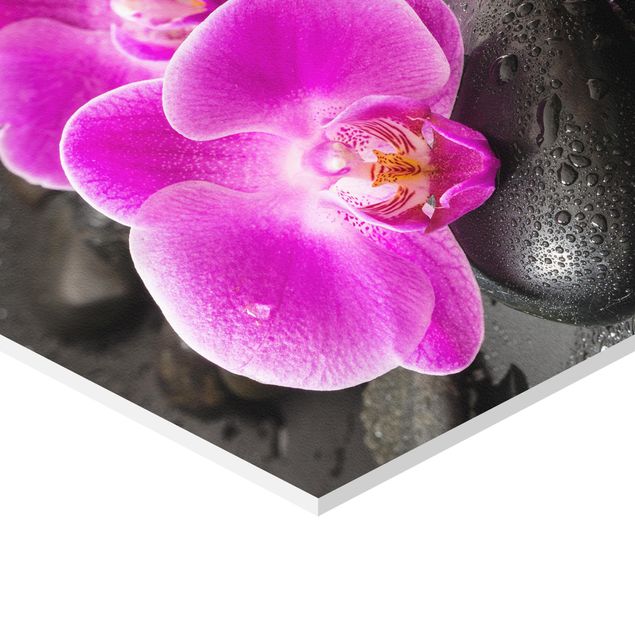 schöne Bilder Pinke Orchideenblüten auf Steinen mit Tropfen