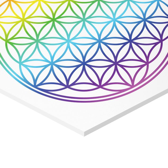 Hexagon Bild Forex - Blume des Lebens Regenbogenfarbe