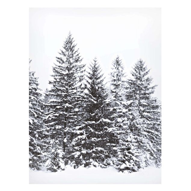 Wandbilder Bäume Dunkle Winterlandschaft