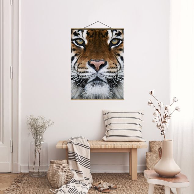 Wandbilder Tiger Tiger Eyes