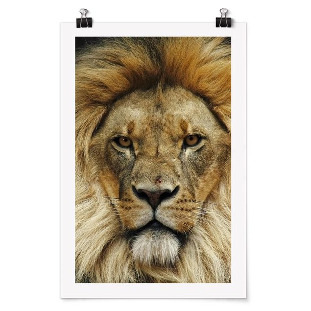 Wandbilder Modern Wisdom of Lion