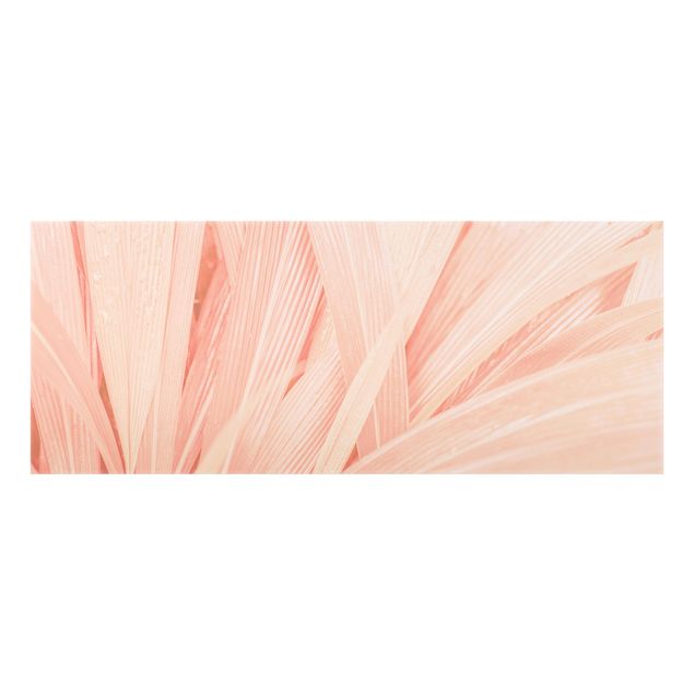 Spritzschutz Glas - Palmenblätter Rosa - Panorama - 5:2