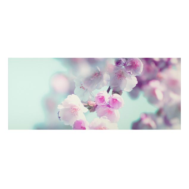 Wandbilder Floral Farbenfrohe Kirschblüten