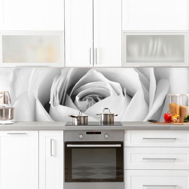 Küchenrückwand Folie Blumen Close Up Rose