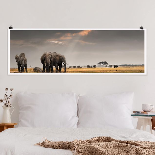 Wanddeko Küche Elefanten der Savanne