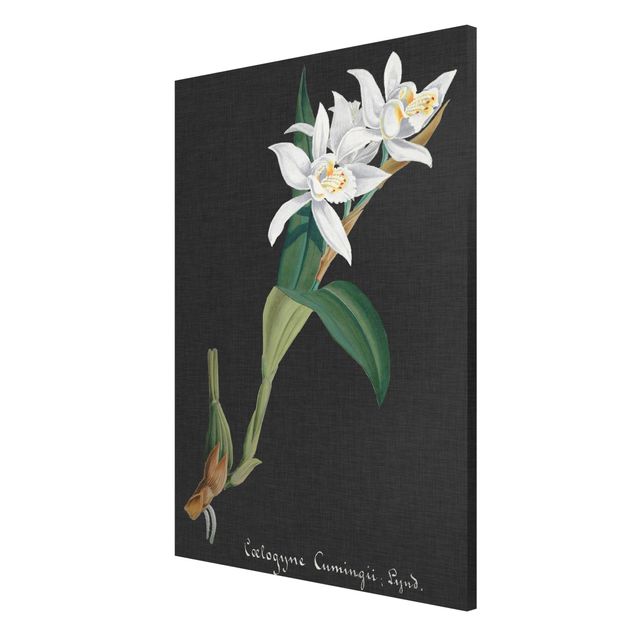 Magnettafeln Blumen Weiße Orchidee auf Leinen II