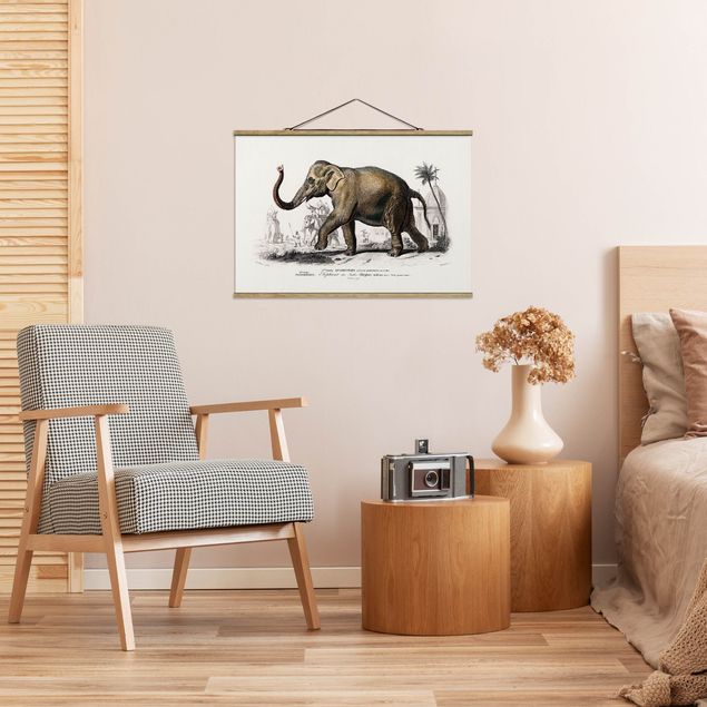 Wandbilder Landschaften Vintage Lehrtafel Elefant