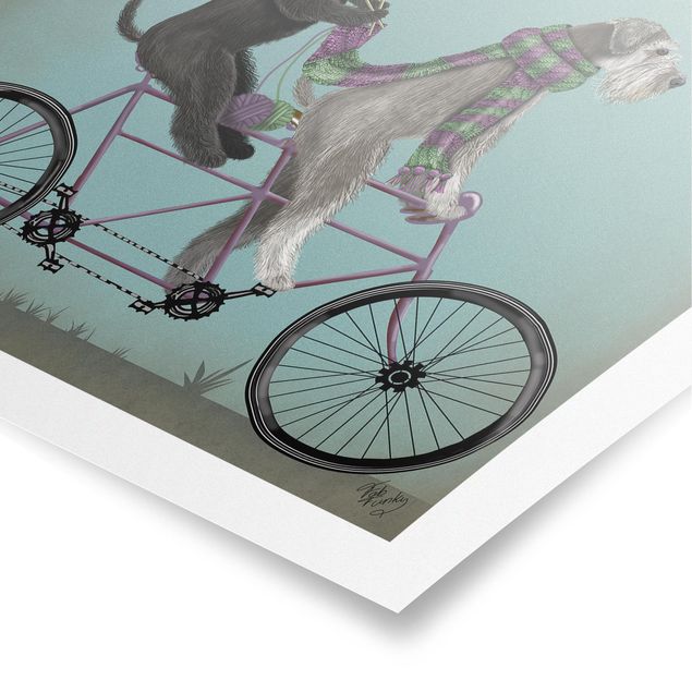 Tiere Poster Radtour - Schnauzer Tandem