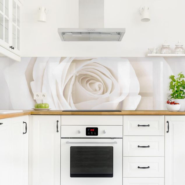 Glasrückwand Küche Pretty White Rose