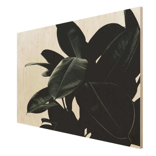 Kubistika Kunstdrucke Gummibaum Blätter Dunkelgrün