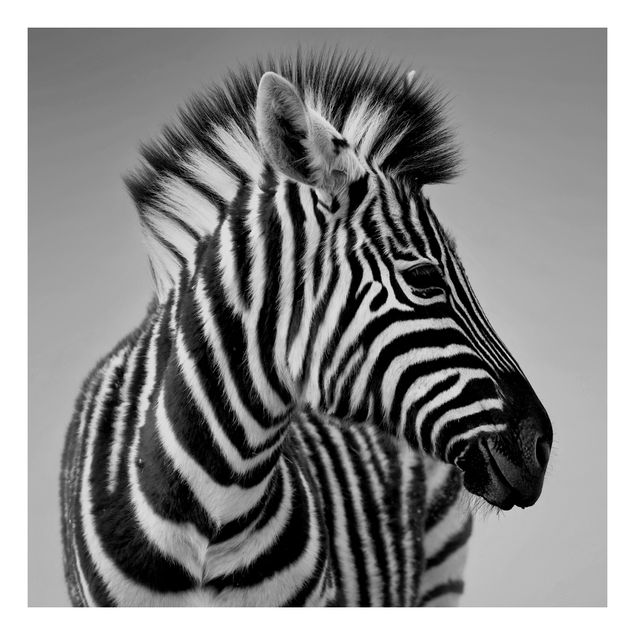 Möbelfolie für IKEA Lack - Klebefolie Zebra Baby Portrait II