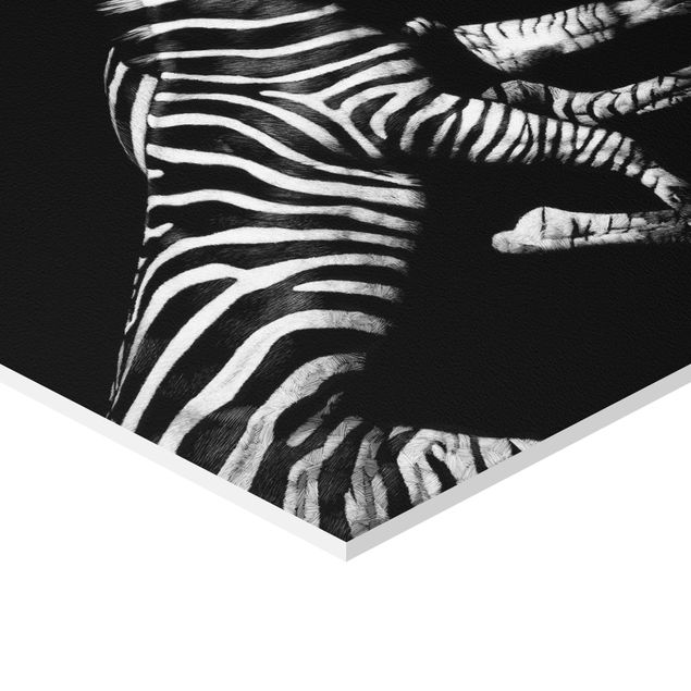 Hexagon Bilder Zebra vor Schwarz