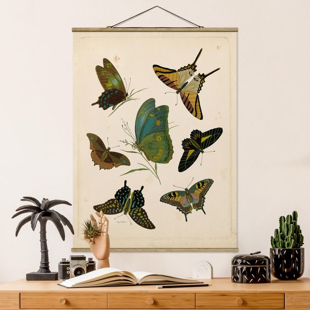 Küche Dekoration Vintage Illustration Exotische Schmetterlinge