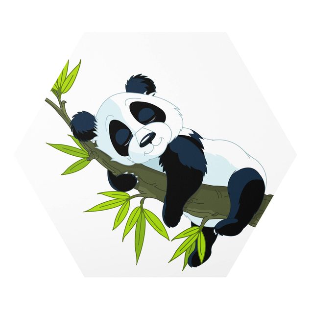 Wandbilder Natur Schlafender Panda