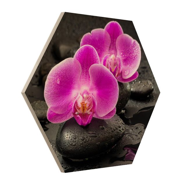 Wandbilder Floral Pinke Orchideenblüten auf Steinen mit Tropfen