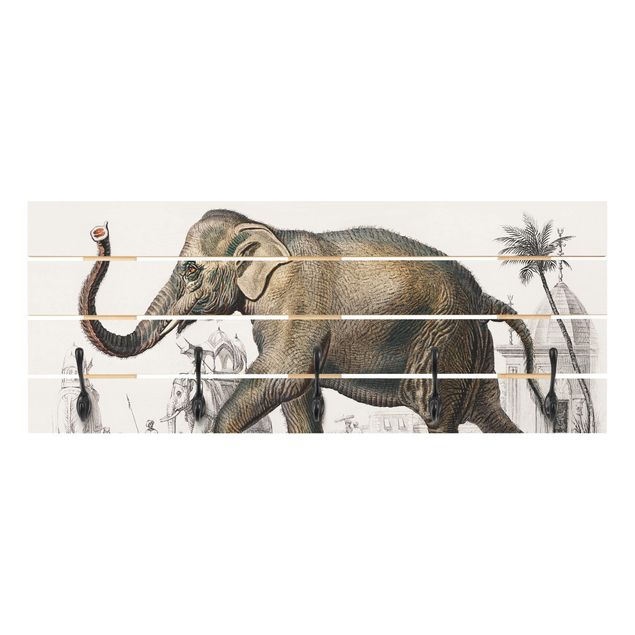 Wandgarderoben Braun Vintage Lehrtafel Elefant
