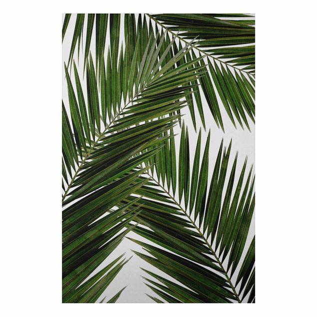 Wandbilder Landschaften Blick durch grüne Palmenblätter