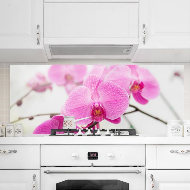 Wanddeko Küche Nahaufnahme Orchidee