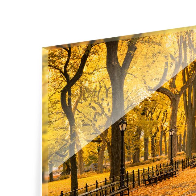 Spritzschutz Glas - Herbst im Central Park - Querformat 2:1