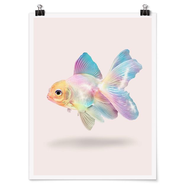 Tiere Poster Fisch in Pastell