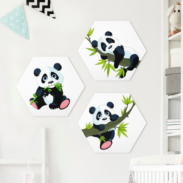 Wandbilder Bären Pandabären Set