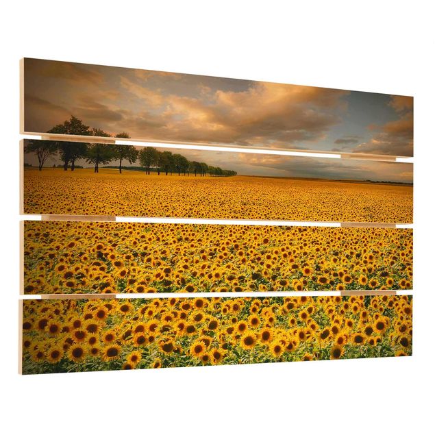 Holzbilder Feld mit Sonnenblumen