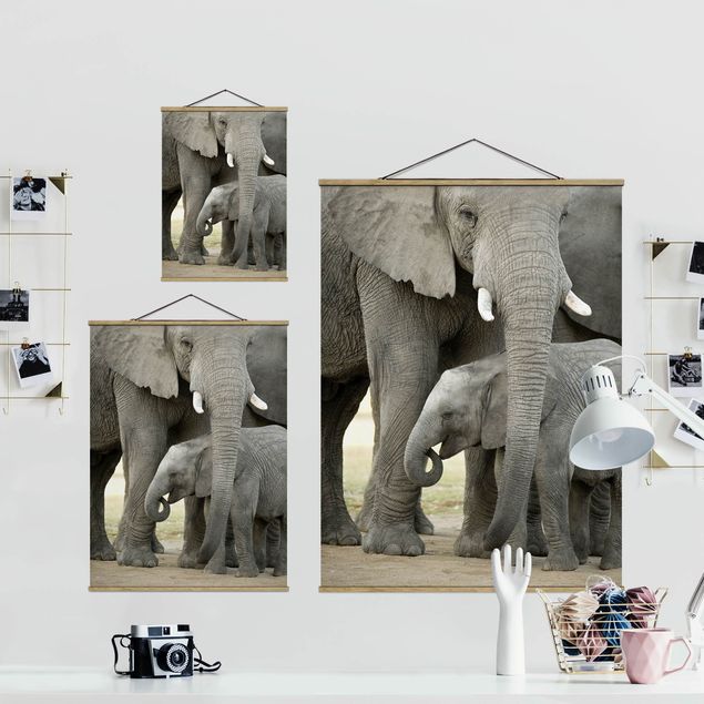 Wandbilder Grau Elefantenliebe