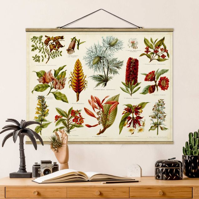 Wanddeko Küche Vintage Lehrtafel Tropische Botanik I