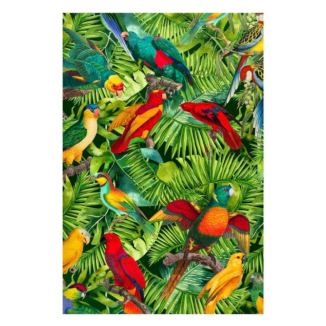 Wandbilder Dschungel Bunte Collage - Papageien im Dschungel