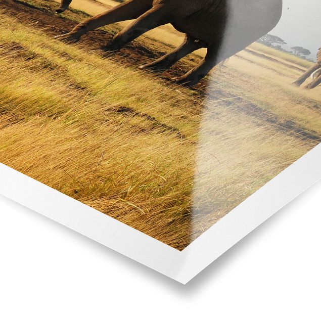 Poster Natur Elefanten vor dem Kilimanjaro in Kenya