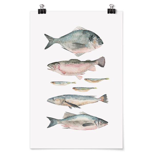 Wandbilder Modern Sieben Fische in Aquarell II