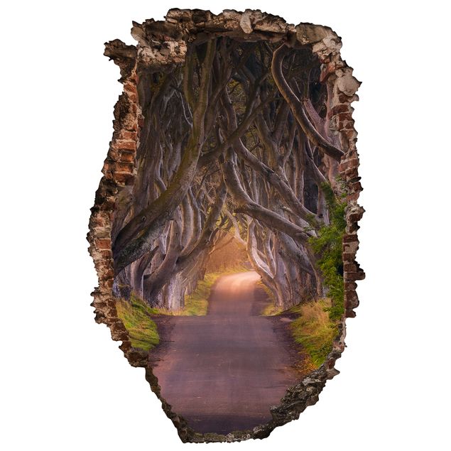 3D Wandsticker Tunnel aus Bäumen
