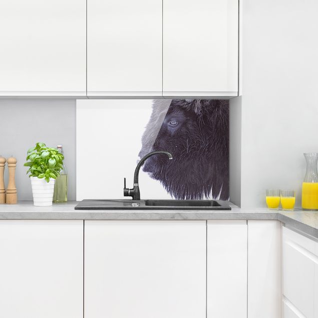 Küchenspiegel Glas Schwarzer Büffel im Portrait