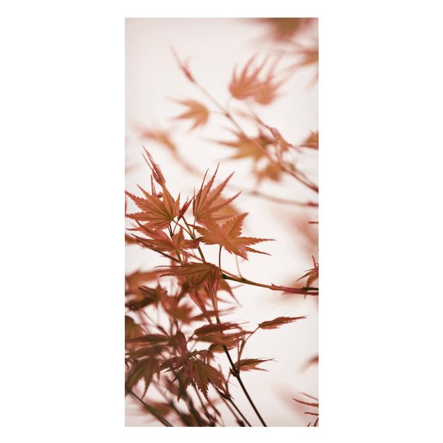 Magnettafel Blume Ahornblätter in Herbstsonne